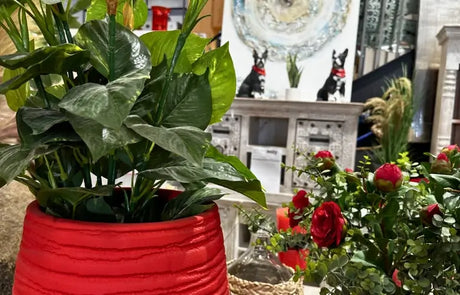 Ideas de decoración para renovar tu hogar en enero